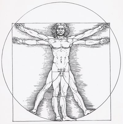 Vitruvian Man by Leonardo da Vinci